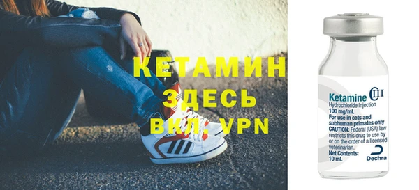 стаф Магас