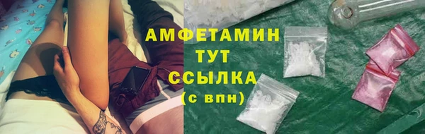 стаф Магас