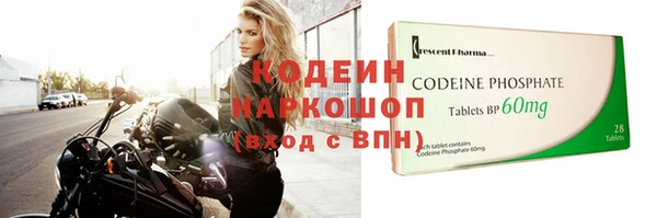 стаф Магас