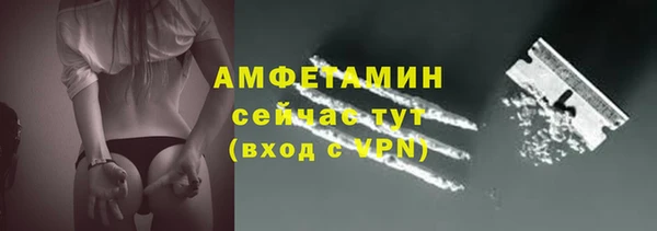 стаф Магас