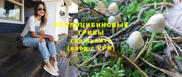 мдпв Магадан