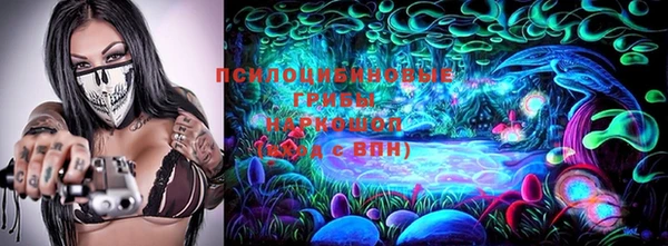 стаф Магас