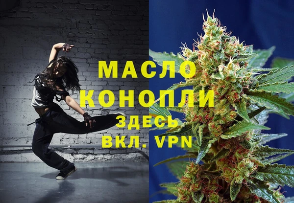 стаф Магас