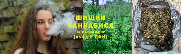 стаф Магас