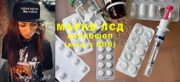 стаф Магас