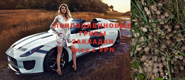 стаф Магас