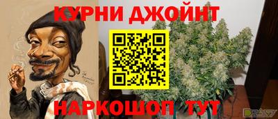 стаф Будённовск