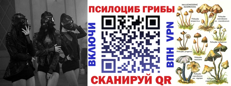 Псилоцибиновые грибы прущие грибы  магазин    Гагарин 