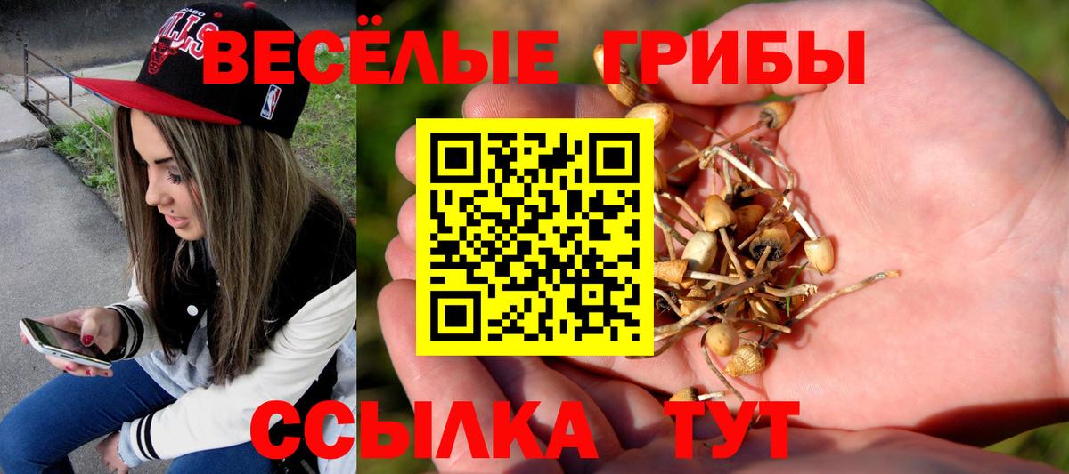 Галлюциногенные грибы прущие грибы  Вход с VPN  купить   Гагарин 